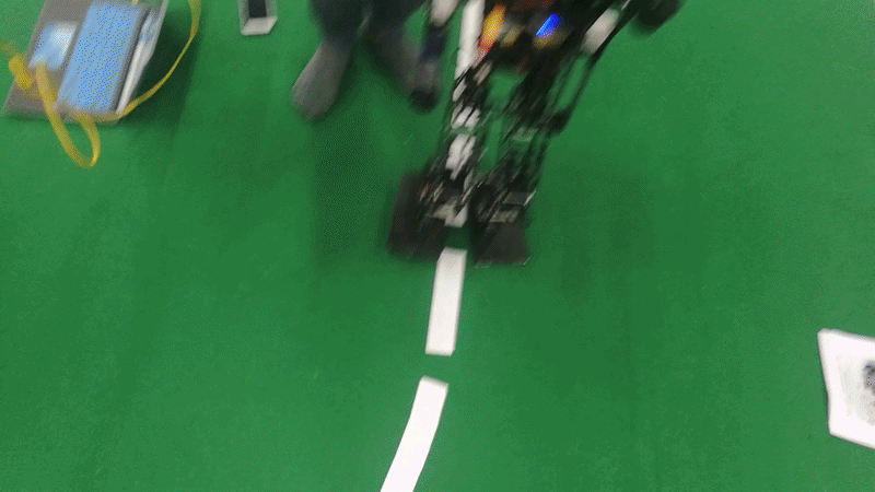 RoboCup Humanoid Robot